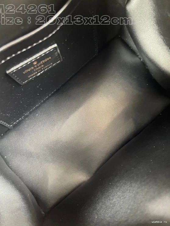 WIS VUITTON BANDOULIÈRE SPEEDY 20 LOUIS 0307